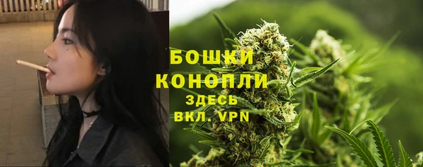 spice Аркадак