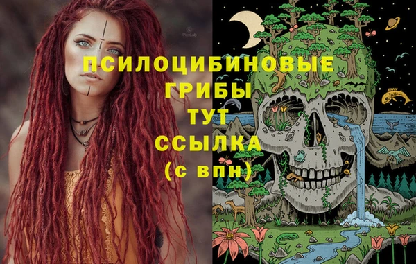 Альфа ПВП Балабаново