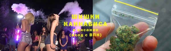 spice Аркадак
