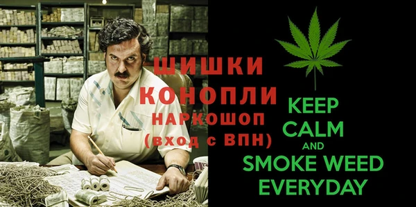 стаф Арсеньев