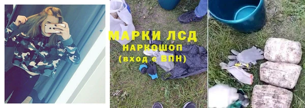 spice Аркадак