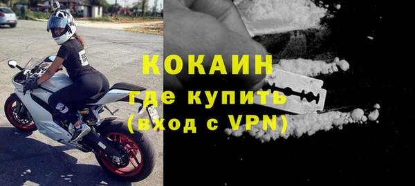 стаф Арсеньев