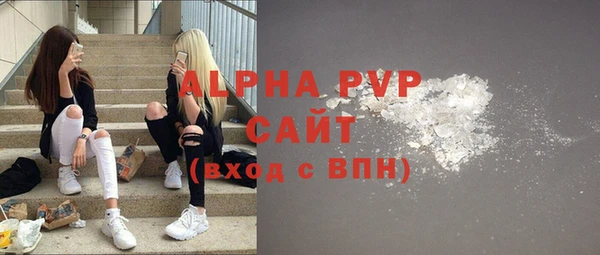 spice Аркадак