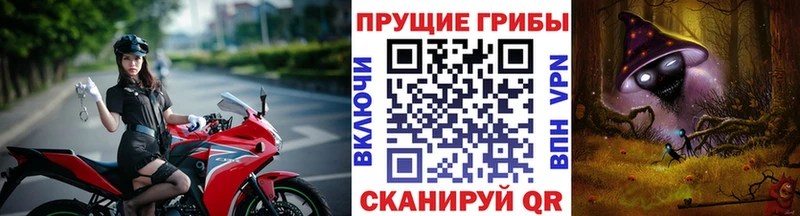 Галлюциногенные грибы Magic Shrooms  Купить  Краснокамск 